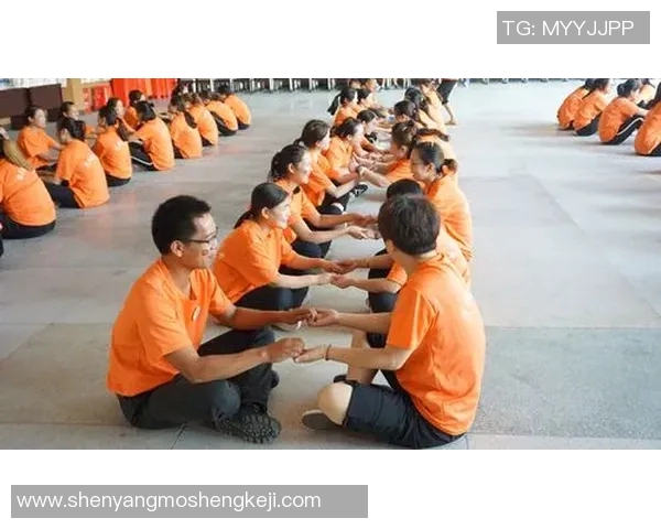 专访刘强：探寻排球背后的成功秘诀与团队精神