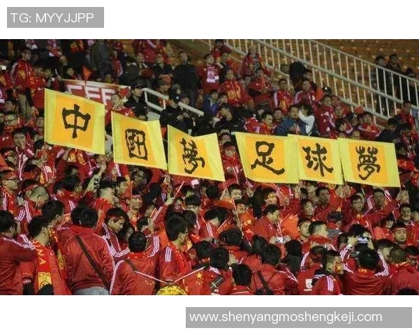 上海网球队在洲际杯积分榜上以77分稳居第一名展现强劲实力