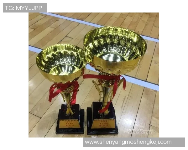 全国锦标赛积分榜更新北京羽毛球队以65分稳居第一名