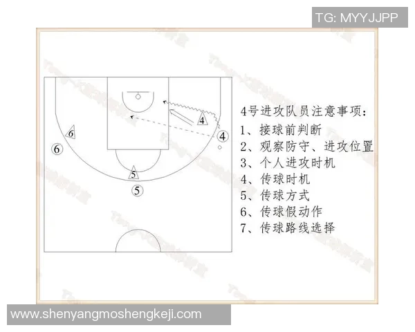 杭州篮球队的快速攻防战术分析与未来发展展望