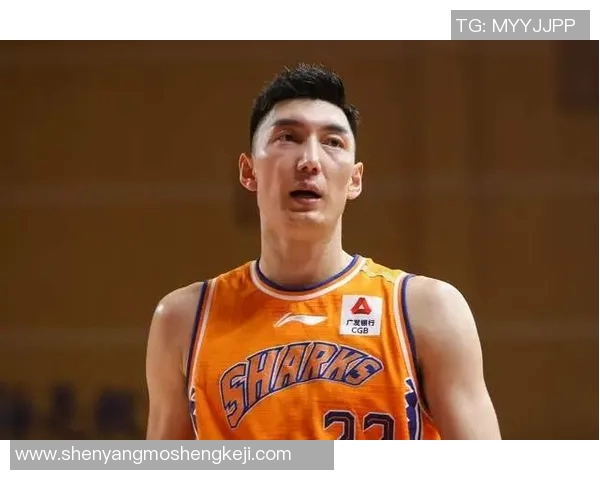 杭州网球队实力解析：从训练到比赛的全面剖析与展望