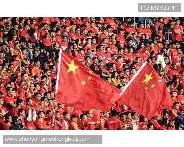 武汉足球队的崛起之路：揭秘他们背后的力量与荣耀