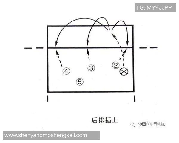 赛后分析：西安排球队与上海排球队的速度对比与战术探讨
