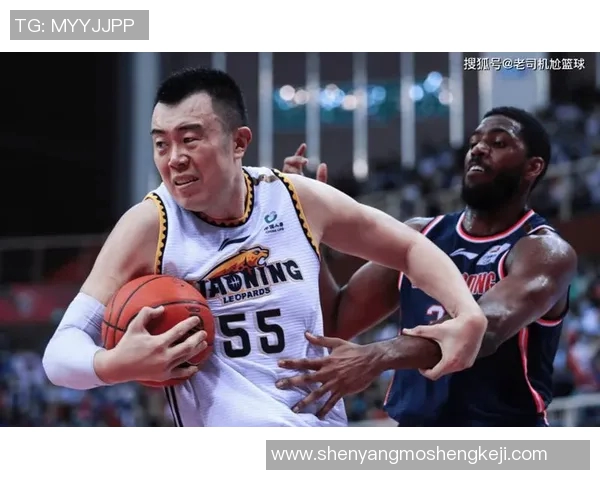 深圳篮球队心理素质排名第二背后的秘密与启示 深圳篮球队心理素质排名第二背后的秘密与启示