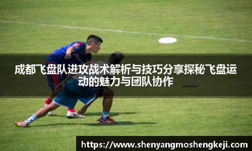 欧宝官网