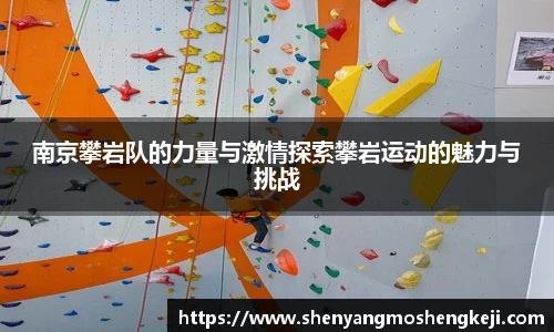 欧宝官网