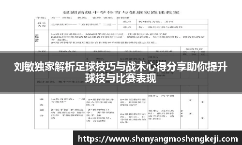 刘敏独家解析足球技巧与战术心得分享助你提升球技与比赛表现